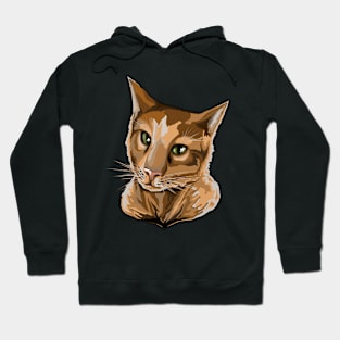 Orange Cat Art Hoodie